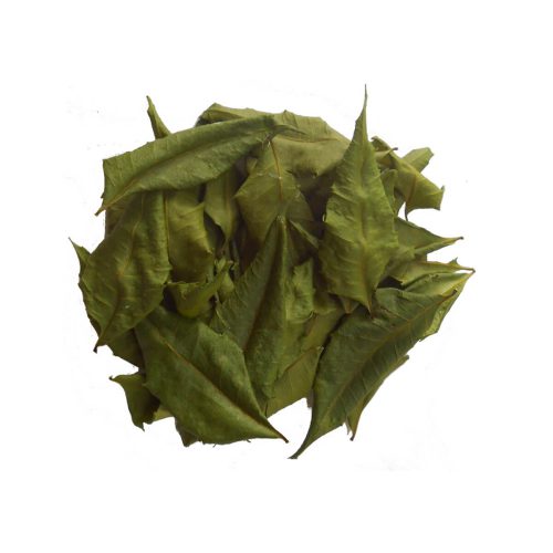 terra-neem-dry-leafs